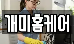 개미홈케어