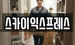 스카이익스프레스