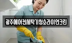 광주에어컨세탁기청소라이언크린