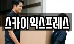스카이익스프레스