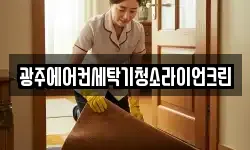 광주에어컨세탁기청소라이언크린