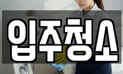 입주청소
