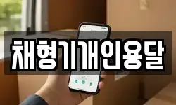 채형기개인용달