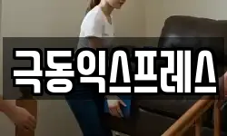 극동익스프레스