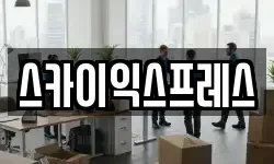 스카이익스프레스