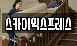 스카이익스프레스