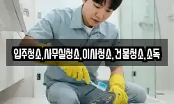 입주청소,사무실청소,이사청소,건물청소,소독