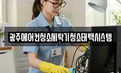 광주에어컨청소세탁기청소태백시스템