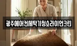 광주에어컨세탁기청소라이언크린