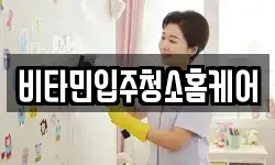 비타민입주청소홈케어