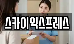 스카이익스프레스