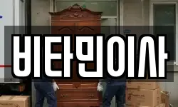 비타민이사