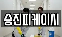 승진피케이시
