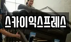 스카이익스프레스