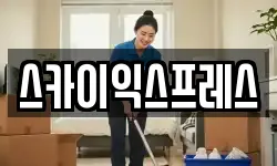 스카이익스프레스