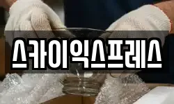 스카이익스프레스