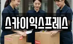 스카이익스프레스