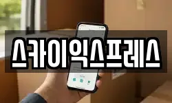 스카이익스프레스