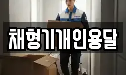 채형기개인용달