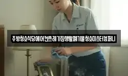 주방청소식당에어컨쓰레기집생활폐기물청소미스터컴퍼니
