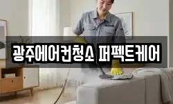 광주에어컨청소 퍼펙트케어
