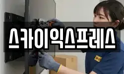 스카이익스프레스