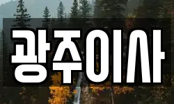 광주이사