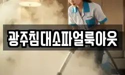 광주침대소파얼룩아웃