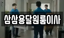 삼삼용달원룸이사