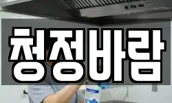 청정바람