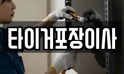 타이거포장이사