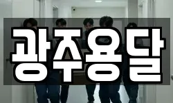 광주용달