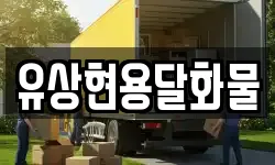 유상현용달화물