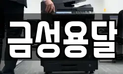 금성용달