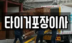 타이거포장이사