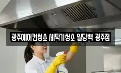 광주에어컨청소 세탁기청소 일당백 광주점