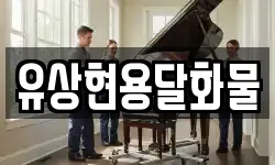 유상현용달화물