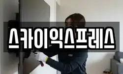 스카이익스프레스