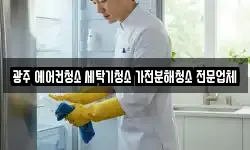 광주 에어컨청소 세탁기청소 가전분해청소 전문업체