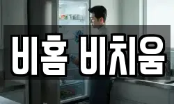 비홈 비치움