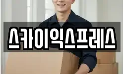 스카이익스프레스