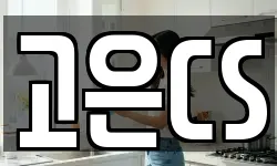 고은CS