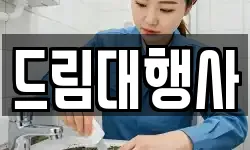 드림대행사