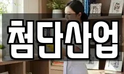 첨단산업