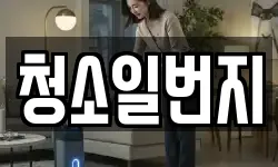 청소일번지
