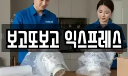 보고또보고 익스프레스