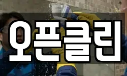 오픈클린