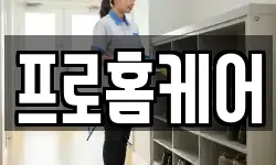 프로홈케어