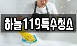 하늘119특수청소