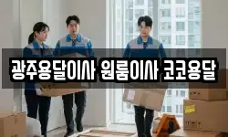 광주용달이사 원룸이사 코코용달